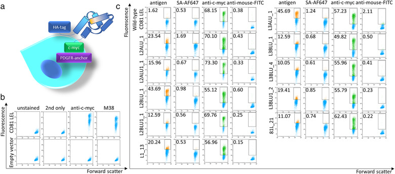 FIGURE 3