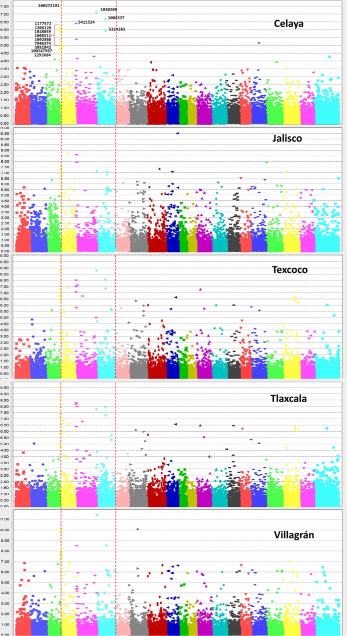 Figure 5