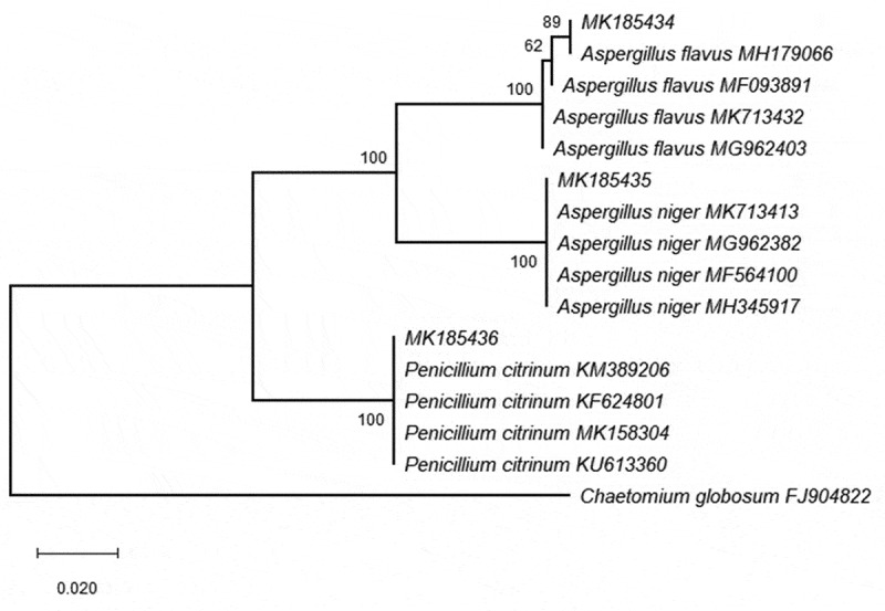 Figure 1.