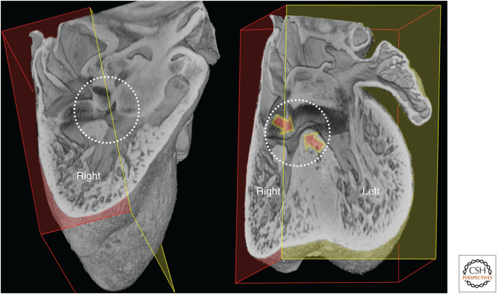 Figure 12.