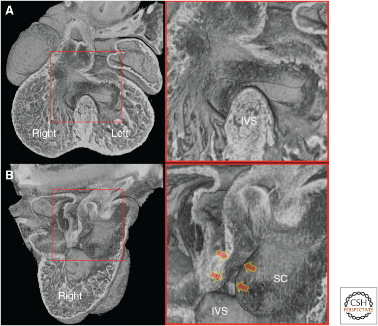 Figure 10.