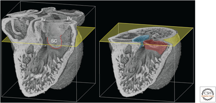 Figure 11.