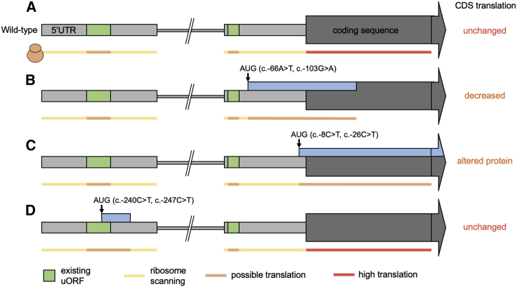 Figure 1