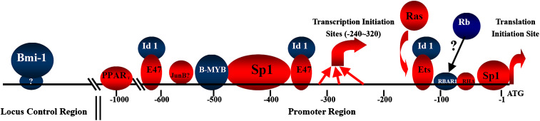 Fig. 4