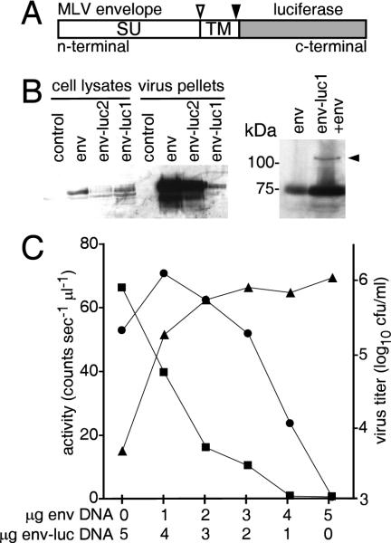 FIG. 1.