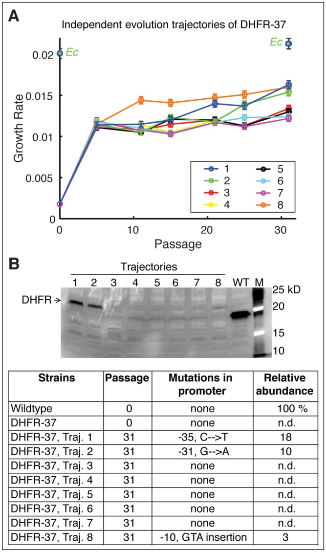 Fig 6