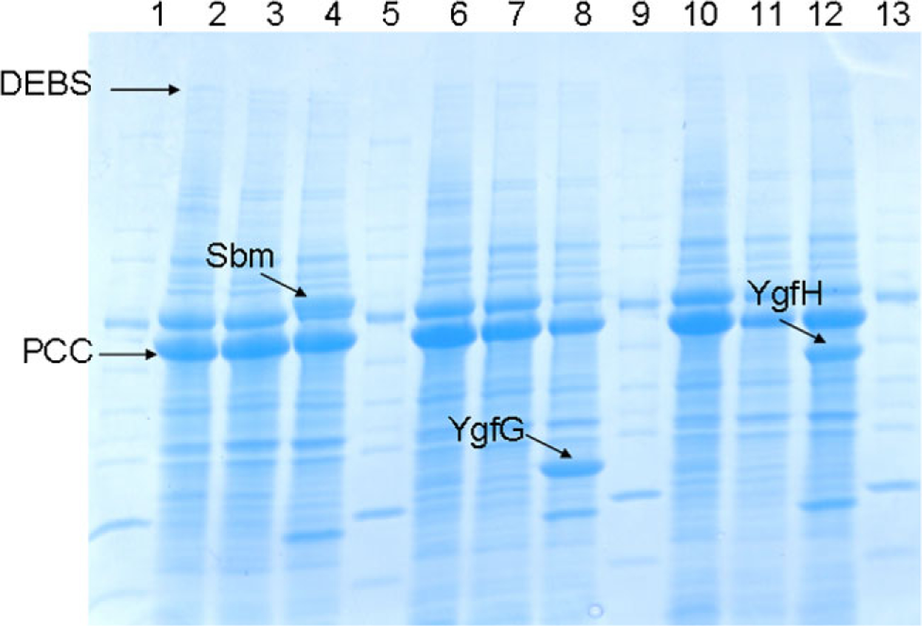 Figure 2.