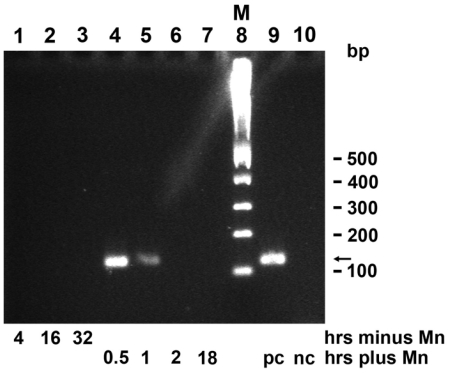 Figure 10