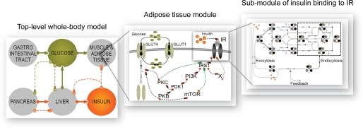 FIGURE 7.