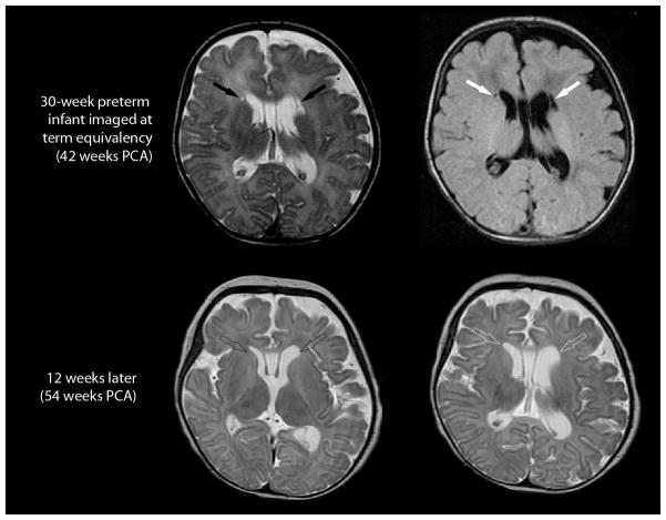 Fig. 8