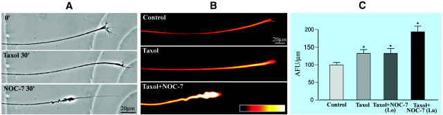 Fig. 7.