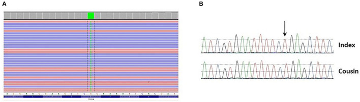 Figure 5