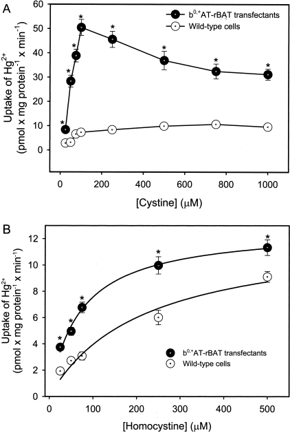 Figure 4-4242