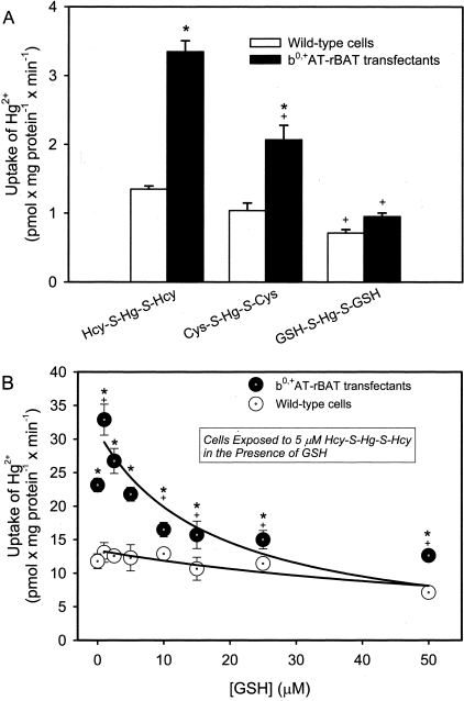 Figure 7-4242