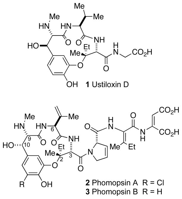 Scheme 1