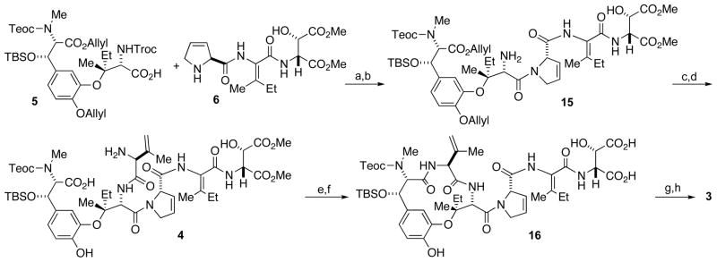 Scheme 4