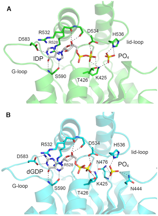 Figure 5.