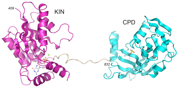 Figure 1.