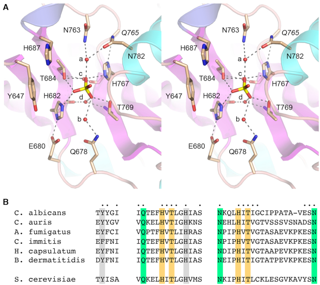 Figure 3.