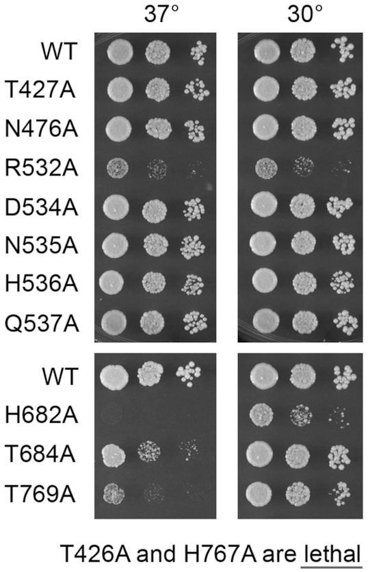 Figure 6.