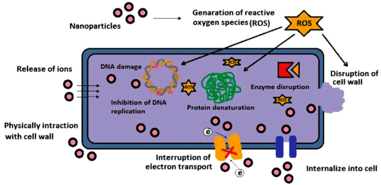 Figure 5