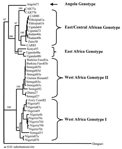 FIG. 1