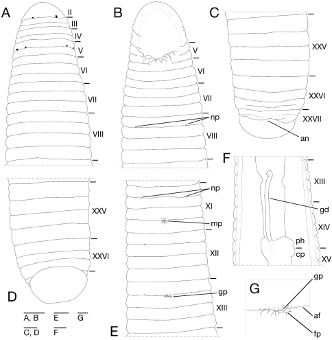 Figure 10.