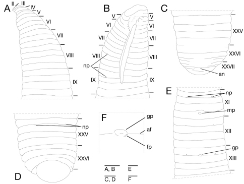 Figure 9.