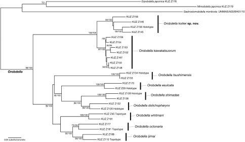 Figure 12.