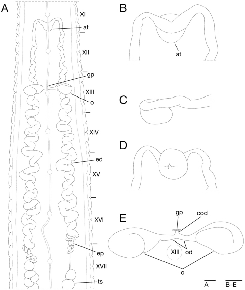 Figure 11.