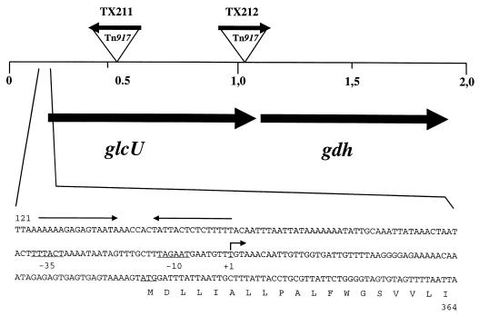 FIG. 1