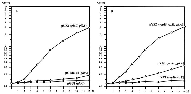 FIG. 3