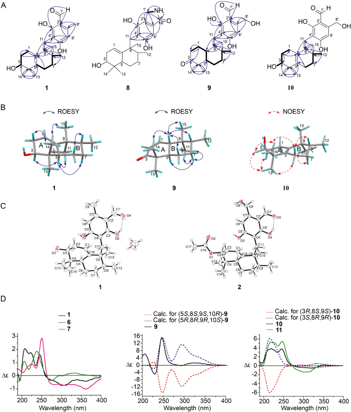 Figure 2