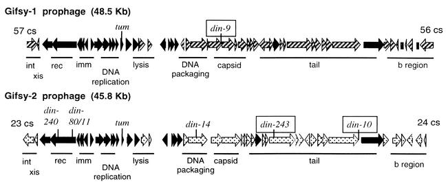 FIG. 7.