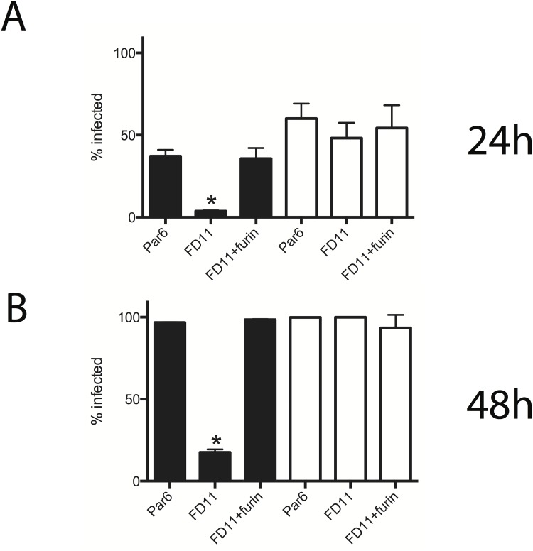 Fig 6