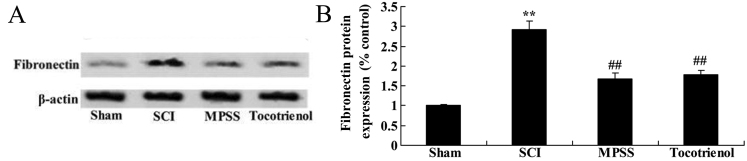 Figure 9.