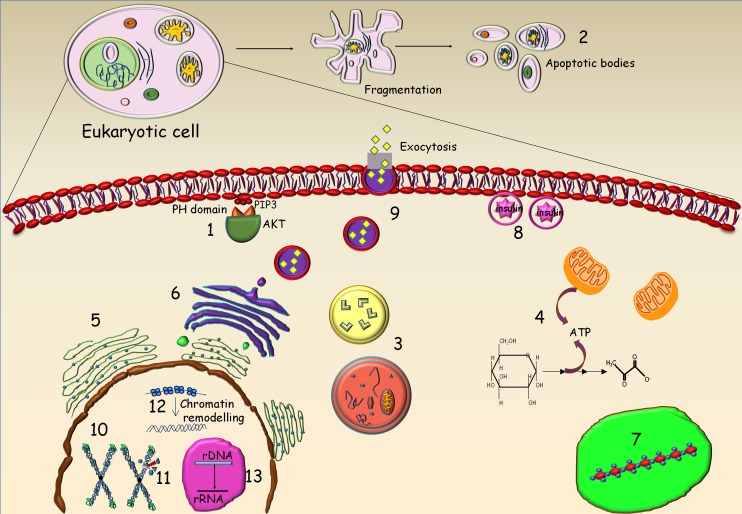 Figure 3: