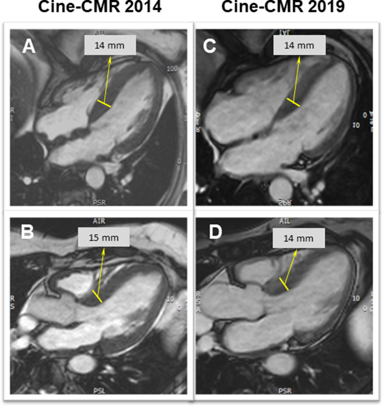 Fig. 4