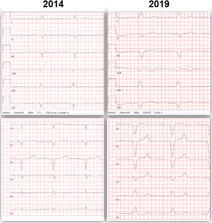 Fig. 5.