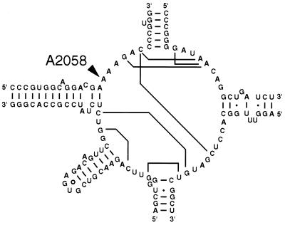 FIG. 3