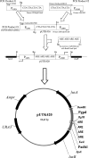 FIG. 1.