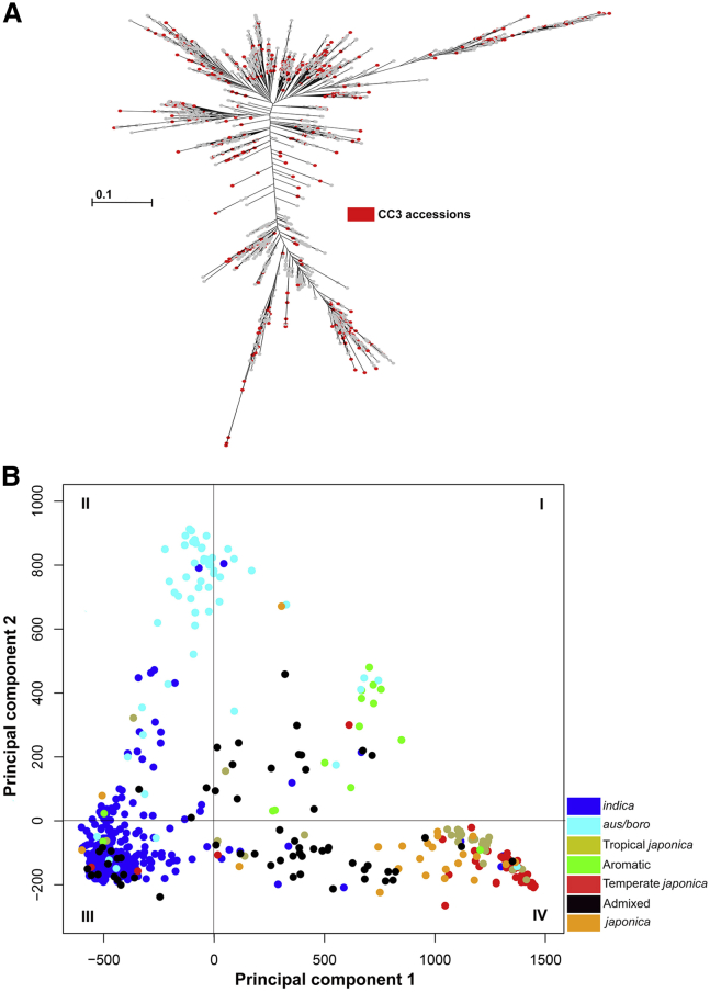 Figure 3