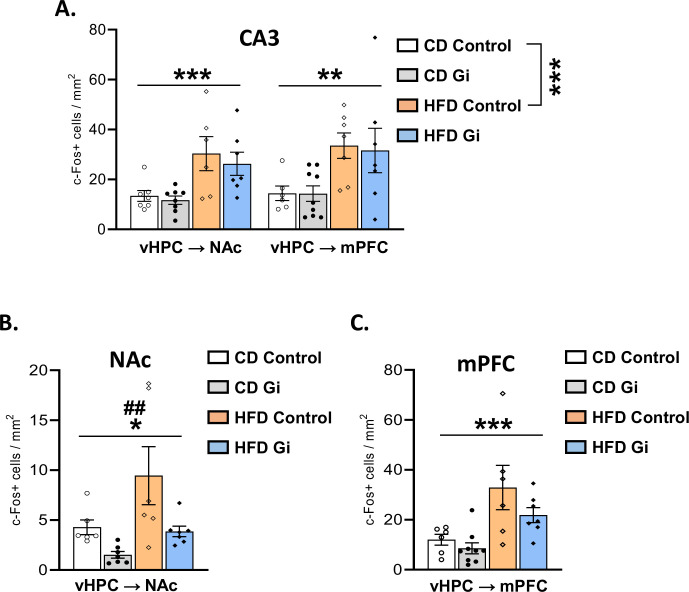 Figure 2—figure supplement 1.