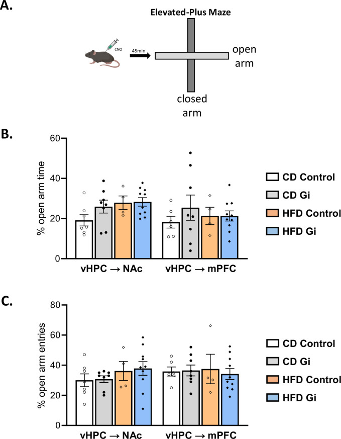 Figure 3—figure supplement 1.