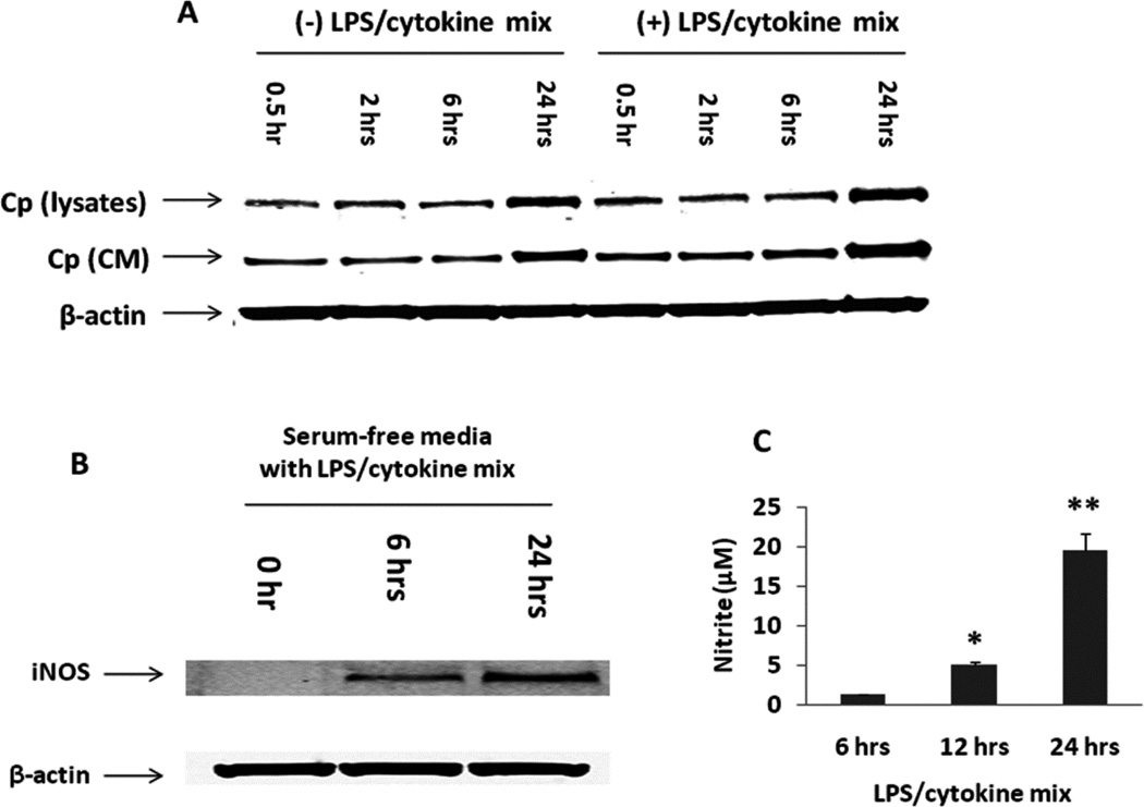 Fig. 6