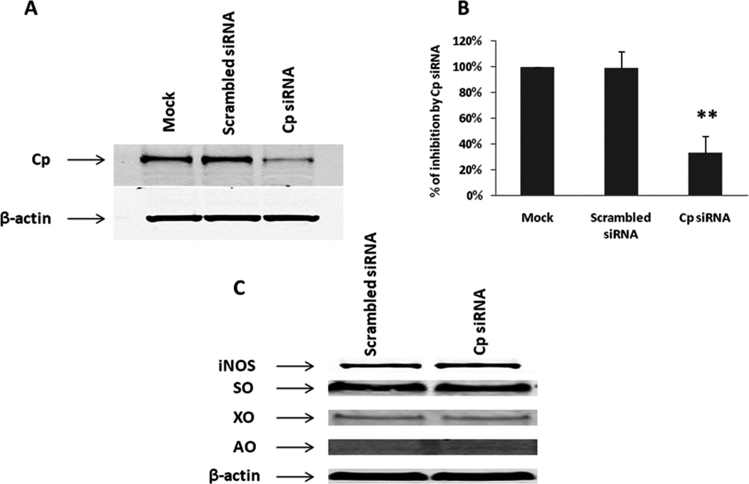 Fig. 9