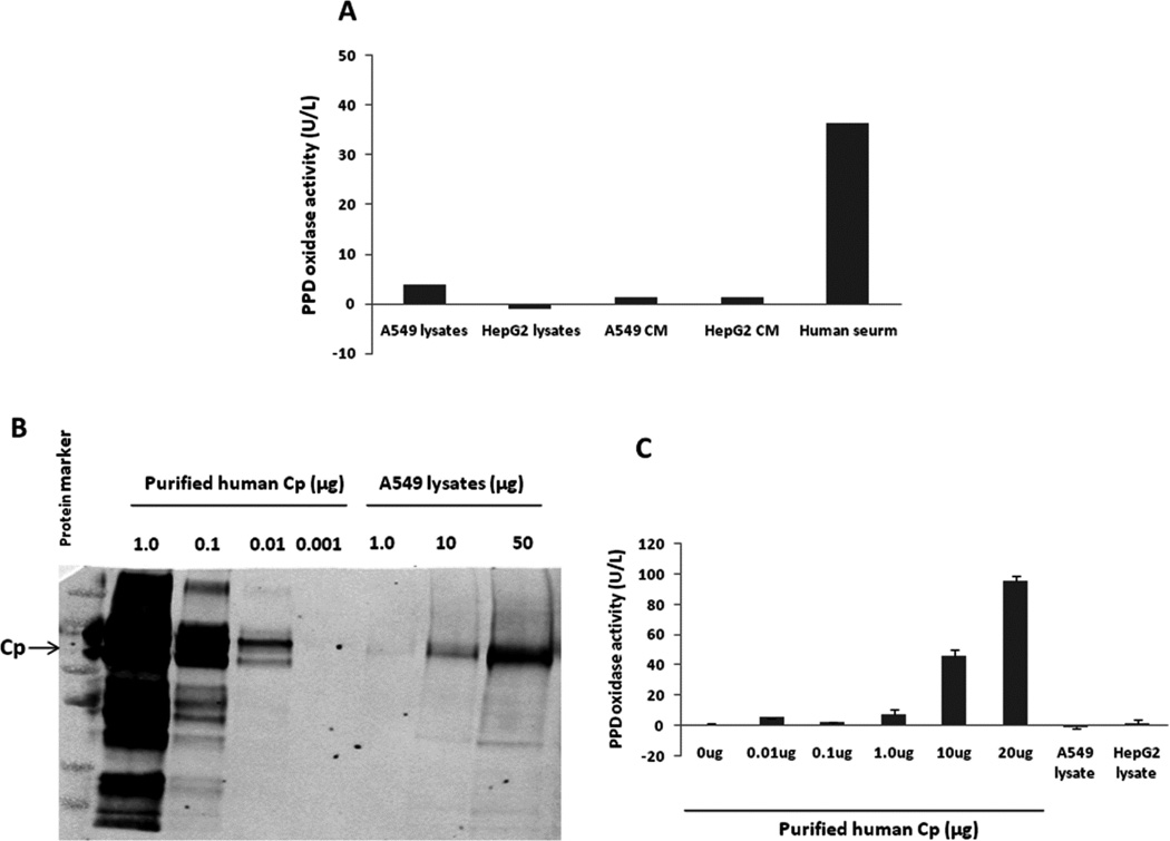 Fig. 11