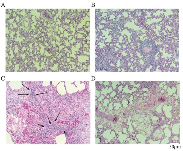 Fig. (2)