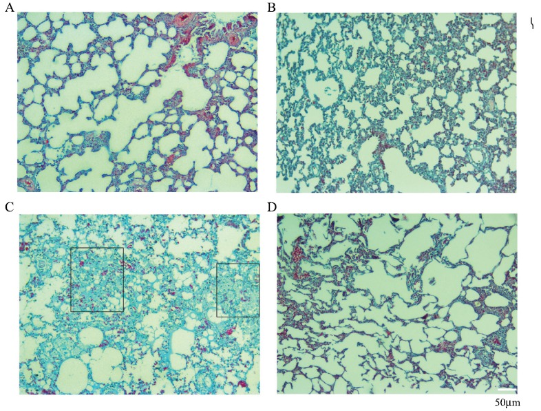 Fig. (3)