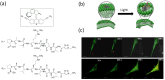 Fig. 11